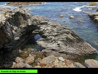 Enseada da Olga da Arnela
 