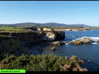 Enseada de Loureiro
 