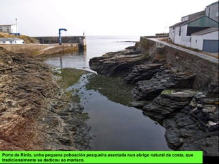Porto de Rinlo, unha pequena poboación pesqueira asentada nun abrigo natural da costa, que
tradicionalmente se dedicou ao marisco.
 