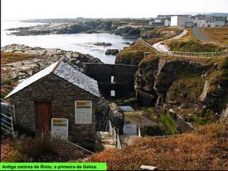 Antiga cetárea de Rinlo, a primeira de Galiza.
 
