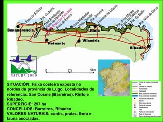 SITUACIÓN: Faixa costeira exposta no
nordés da provincia de Lugo. Localidades de
referencia: San Cosme (Barreiros), Rinlo e
Ribadeo.
SUPERFICIE: 297 ha
CONCELLOS: Barreiros, Ribadeo
VALORES NATURAIS: cantís, praias, flora e
fauna asociadas.
 