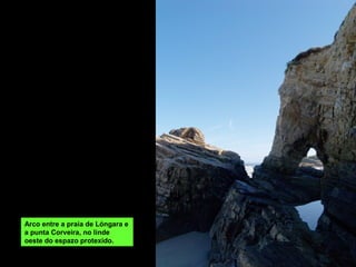 Arco entre a praia de Lóngara e
a punta Corveira, no linde
oeste do espazo protexido.
 