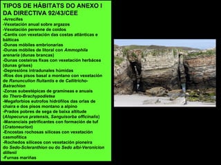 TIPOS DE HÁBITATS DO ANEXO I
DA DIRECTIVA 92/43/CEE
-Arrecifes
-Vexetación anual sobre argazos
-Vexetación perenne de coídos
-Cantís con vexetación das costas atlánticas e
bálticas
-Dunas móbiles embrionarias
-Dunas móbiles de litoral con Ammophila
arenaria (dunas brancas)
-Dunas costeiras fixas con vexetación herbácea
(dunas grises)
-Depresións intradunales húmidas
-Ríos dos pisos basal a montano con vexetación
de Ranunculion fluitantis e de Callitricho-
Batrachion
-Zonas subestépicas de gramíneas e anuais
do Thero-Brachypodietea
-Megaforbios eutrofos hidrófilos das orlas de
chaira e dos pisos montano a alpino
-Prados pobres de sega de baixa altitude
(Alopecurus pratensis, Sanguisorba officinalis)
-Mananciais petrificantes con formación de tuf
(Cratoneurion)
-Encostas rochosas silíceas con vexetación
casmofítica
-Rochedos silíceos con vexetación pioneira
do Sedo-Scleranthion ou do Sedo albi-Veronicion
dillenii
-Furnas mariñas
 