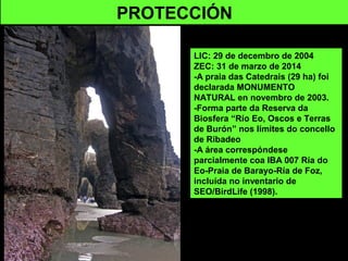 PROTECCIÓN
LIC: 29 de decembro de 2004
ZEC: 31 de marzo de 2014
-A praia das Catedrais (29 ha) foi
declarada MONUMENTO
NATURAL en novembro de 2003.
-Forma parte da Reserva da
Biosfera “Río Eo, Oscos e Terras
de Burón” nos límites do concello
de Ribadeo
-A área correspóndese
parcialmente coa IBA 007 Ría do
Eo-Praia de Barayo-Ría de Foz,
incluída no inventario de
SEO/BirdLife (1998).
 