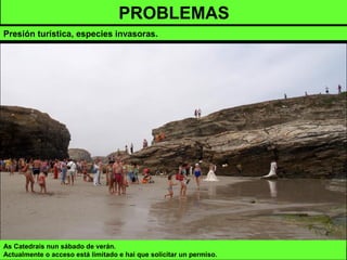 PROBLEMAS
Presión turística, especies invasoras.
As Catedrais nun sábado de verán.
Actualmente o acceso está limitado e hai que solicitar un permiso.
 