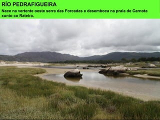 RÍO PEDRAFIGUEIRA
Nace na vertente oeste serra das Forcadas e desemboca na praia de Carnota
xunto co Rateira.
 