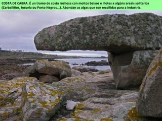 COSTA DE CABRA. É un tramo de costa rochosa con moitos baixos e illotes a algúns areais solitarios
(Carballiños, Insuela ou Porto Negros...). Abondan as algas que son recollidas para a industria.
 