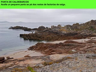 PUNTA DE CALDEBARCOS
Acolle un pequeno porto ao pé dos restos de factorías de salga.
 
