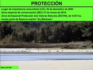 Boca do Río
PROTECCIÓN
-Lugar de importancia comunitaria (LIC), 29 de decembro de 2004
-Zona especial de conservación (ZEC) 31 de marzo de 2014
-Zona de Especial Protección dos Valores Naturais (ZECVN), de 4.674 ha.
-Inclúe parte da Reserva mariña “Os Miñarzos”
 