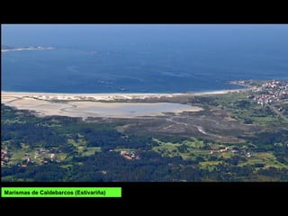 Marismas de Caldebarcos (Estivariña)
 