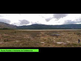 Dunas fixadas e marismas de Caldebarcos
 