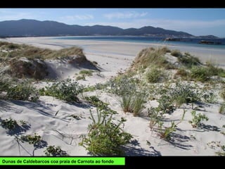 Dunas de Caldebarcos coa praia de Carnota ao fondo
 