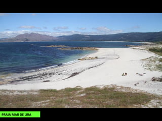 PRAIA MAR DE LIRA
 