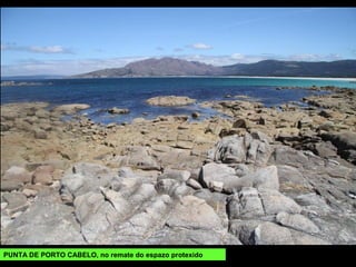 PUNTA DE PORTO CABELO, no remate do espazo protexido
 