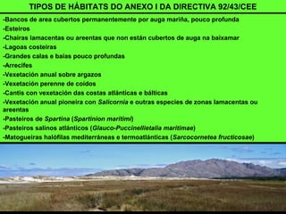 -Bancos de area cubertos permanentemente por auga mariña, pouco profunda
-Esteiros
-Chairas lamacentas ou areentas que non están cubertos de auga na baixamar
-Lagoas costeiras
-Grandes calas e baías pouco profundas
-Arrecifes
-Vexetación anual sobre argazos
-Vexetación perenne de coídos
-Cantís con vexetación das costas atlánticas e bálticas
-Vexetación anual pioneira con Salicornia e outras especies de zonas lamacentas ou
areentas
-Pasteiros de Spartina (Spartinion maritimi)
-Pasteiros salinos atlánticos (Glauco-Puccinellietalia maritimae)
-Matogueiras halófilas mediterráneas e termoatlánticas (Sarcocornetea fructicosae)
TIPOS DE HÁBITATS DO ANEXO I DA DIRECTIVA 92/43/CEE
 