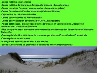 -Dunas móbiles embrionarias
-Dunas móbiles de litoral con Ammophila arenaria (dunas brancas)
-Dunas costeiras fixas con vexetación herbácea (dunas grises)
-Dunas fixas descalcificadas atlánticas (Calluno-Ulicetea)
-Depresións intradunales húmidas
-Dunas con céspedes do Malcolmietalia
-Dunas con vexetación esclerófila do Cisto-Lavenduletalia
-Augas estancadas, oligotróficas ou mesotróficas con vexetación de Littorelletea
uniflorae e/ou Isoeto-Nanojuncetea
-Ríos dos pisos basal a montano con vexetación de Ranunculion fluitantis e de Callitricho-
Batrachion
-Queirogais húmidos atlánticos de zonas temperadas de Erica ciliaris e Erica tetralix
-Queirogais secos europeos
-Matogueiras arborescentes de Laurus nobilis
-Zonas subestépicas de gramíneas e anuais do Thero-Brachypodietea
 