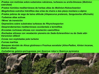 -Prados con molinias sobre substratos calcáreos, turbosos ou arxilo-limosos (Molinion
caeruleae)
-Prados húmidos mediterráneos de herbas altas do Molinion-Holoschoenion
-Megaforbios eutrofos hidrófilos das orlas de chaira e dos pisos montano a alpino
-Prados pobres de sega de baixa altitude (Alopecurus pratensis, Sanguisorba officinalis)
-Turbeiras altas activas
-'Mires' de transición
-Depresións sobre substratos turbosos do Rhynchosporion
-Desprendementos mediterráneos occidentais e termófilos
-Encostas rochosas silíceas con vexetación casmofítica
-Rochedos silíceos con vexetación pioneira do Sedo-Scleranthion ou do Sedo albi-
Veronicion dillenii
-Covas non explotadas polo turismo
-Furnas mariñas
-Bosques aluviais de Alnus glutinosa e Fraxinus excelsior (Alno-Padion, Alnion incanae,
Salicion albae)
-Carballeiras galaico-portugueses con Quercus robur e Quercus pyrenaica
 