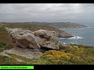 Granitos na Punta Roncadoira
 