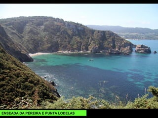 ENSEADA DA PEREIRA E PUNTA LODELAS
 