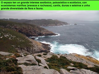 O espazo ten un grande interese xeolóxico, paisaxístico e ecolóxico, con
ecosistemas mariños (areosos e rochosos), cantís, dunas e esteiros e unha
grande diversidade de flora e fauna.
 