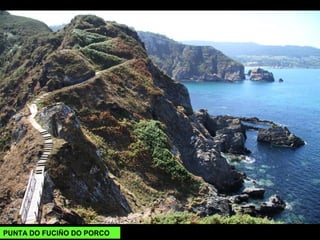 PUNTA DO FUCIÑO DO PORCO
 