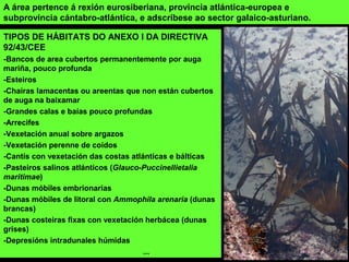 TIPOS DE HÁBITATS DO ANEXO I DA DIRECTIVA
92/43/CEE
-Bancos de area cubertos permanentemente por auga
mariña, pouco profunda
-Esteiros
-Chairas lamacentas ou areentas que non están cubertos
de auga na baixamar
-Grandes calas e baías pouco profundas
-Arrecifes
-Vexetación anual sobre argazos
-Vexetación perenne de coídos
-Cantís con vexetación das costas atlánticas e bálticas
-Pasteiros salinos atlánticos (Glauco-Puccinellietalia
maritimae)
-Dunas móbiles embrionarias
-Dunas móbiles de litoral con Ammophila arenaria (dunas
brancas)
-Dunas costeiras fixas con vexetación herbácea (dunas
grises)
-Depresións intradunales húmidas
...
A área pertence á rexión eurosiberiana, provincia atlántica-europea e
subprovincia cántabro-atlántica, e adscríbese ao sector galaico-asturiano.
 