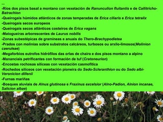 ...
-Ríos dos pisos basal a montano con vexetación de Ranunculion fluitantis e de Callitricho-
Batrachion
-Queirogais húmidos atlánticos de zonas temperadas de Erica ciliaris e Erica tetralix
-Queirogais secos europeos
-Queirogais secos atlánticos costeiros de Erica vagans
-Matogueiras arborescentes de Laurus nobilis
-Zonas subestépicas de gramíneas e anuais do Thero-Brachypodietea
-Prados con molinias sobre substratos calcáreos, turbosos ou arxilo-limosos(Molinion
caeruleae)
-Megaforbios eutrofos hidrófilos das orlas de chaira e dos pisos montano a alpino
-Mananciais petrificantes con formación de tuf (Cratoneurion)
-Encostas rochosas silíceas con vexetación casmofítica
-Rochedos silíceos con vexetación pioneira do Sedo-Scleranthion ou do Sedo albi-
Veronicion dillenii
-Furnas mariñas
-Bosques aluviais de Alnus glutinosa e Fraxinus excelsior (Alno-Padion, Alnion incanae,
Salicion albae)
 
