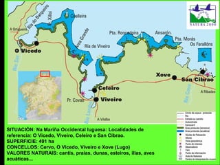 SITUACIÓN: Na Mariña Occidental luguesa: Localidades de
referencia: O Vicedo, Viveiro, Celeiro e San Cibrao.
SUPERFICIE: 491 ha
CONCELLOS: Cervo, O Vicedo, Viveiro e Xove (Lugo)
VALORES NATURAIS: cantís, praias, dunas, esteiros, illas, aves
acuáticas...
 
