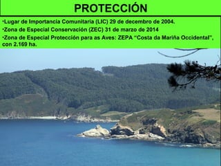PROTECCIÓN
•Lugar de Importancia Comunitaria (LIC) 29 de decembro de 2004.
•Zona de Especial Conservación (ZEC) 31 de marzo de 2014
•Zona de Especial Protección para as Aves: ZEPA “Costa da Mariña Occidental”,
con 2.169 ha.
 