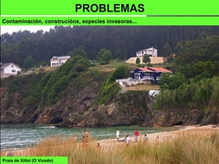Praia de Xilloi (O Vicedo)
PROBLEMAS
Contaminación, construcións, especies invasoras...
 