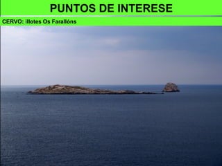 PUNTOS DE INTERESE
CERVO: illotes Os Farallóns
 
