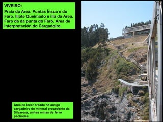 VIVEIRO:
Praia da Area. Puntas Ínsua e do
Faro. Illote Queimado e illa da Area.
Faro da da punta do Faro. Área de
interpretación do Cargadoiro.
Área de lecer creada no antigo
cargadoiro de mineral procedente da
Silvarosa, unhas minas de ferro
pechadas.
 