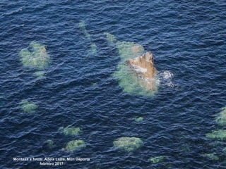 Montaxe e fotos: Adela Leiro, Mon Daporta
febreiro 2017
 