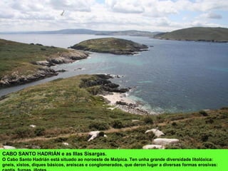 CABO SANTO HADRIÁN e as Illas Sisargas.
O Cabo Santo Hadrián está situado ao noroeste de Malpica. Ten unha grande diversidade litolóxica:
gneis, xistos, diques básicos, areiscas e conglomerados, que deron lugar a diversas formas erosivas:
 