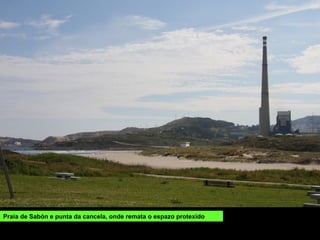 Praia de Sabón e punta da cancela, onde remata o espazo protexido
 