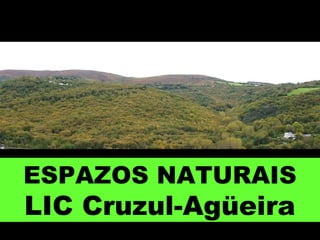 ESPAZOS NATURAIS
LIC Cruzul-Agüeira
 