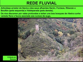 O Navia en
Doncos
REDE FLUVIAL
Articúlase arredor do Navia e dos seus afluentes Narón, Fontaos, Ribanán e
Boullón (pola esquerda) e Valdeparada (pola dereita).
Os ríos discorren por vales profundos e teñen uns bos bosques de ribeira cunha
variada flora e fauna asociada aos cursos de auga.
 