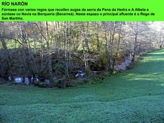 RÍO NARÓN
Fórmase con varios regos que recollen augas da serra da Pena da Hedra e A Albela e
xúntase co Navia na Borquería (Becerreá). Neste espazo o principal afluente é o Rego de
San Martiño.
 