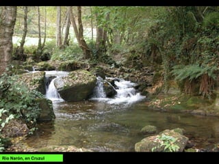 Río Narón, en Cruzul
 