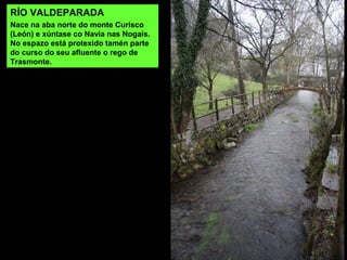 RÍO VALDEPARADA
Nace na aba norte do monte Curisco
(León) e xúntase co Navia nas Nogais.
No espazo está protexido tamén parte
do curso do seu afluente o rego de
Trasmonte.
 