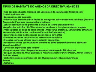 TIPOS DE HÁBITATS DO ANEXO I DA DIRECTIVA 92/43/CEE
-Ríos dos pisos basal a montano con vexetación de Ranunculion fluitantis e de
Callitricho-Batrachion
-Queirogais secos europeos
-Prados secos semi naturais e facies de matogueira sobre substratos calcáreos (Festuco-
Brometalia) (* paraxes con notables orquídeas)
-Zonas subestépicas de gramíneas e anuais do Thero-Brachypodietea
-Megaforbios eutrofos hidrófilos das orlas de chaira e dos pisos montano a alpino
-Prados pobres de sega de baixa altitude (Alopecurus pratensis, Sanguisorba officinalis)
-Mananciais petrificantes con formación de tuf (Cratoneurion)
-Desprendementos mediterráneos occidentais e termófilos
-Encostas rochosas calcícolas con vexetación casmofítica
-Encostas rochosas silíceas con vexetación casmofítica
-Rochedos silíceos con vexetación pioneira do Sedo-Scleranthion ou do Sedo albi-
Veronicion dillenii
-Covas non explotadas polo turismo
-Bosques de encostas, desprendementos ou barrancos do Tilio-Acerion
-Bosques aluviais de Alnus glutinosa e Fraxinus excelsior (Alno-Padion, Alnion incanae,
Salicion albae)
-Carballeiras galaico-portugueses con Quercus robur e Quercus pyrenaica
Soutos
-Aciñeirais
 