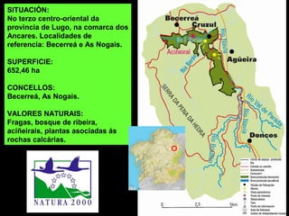 SITUACIÓN:
No terzo centro-oriental da
provincia de Lugo, na comarca dos
Ancares. Localidades de
referencia: Becerreá e As Nogais.
SUPERFICIE:
652,46 ha
CONCELLOS:
Becerreá, As Nogais.
VALORES NATURAIS:
Fragas, bosque de ribeira,
aciñeirais, plantas asociadas ás
rochas calcárias.
 