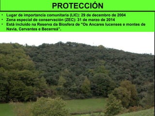PROTECCIÓN
• Lugar de importancia comunitaria (LIC): 29 de decembro de 2004
• Zona especial de conservación (ZEC): 31 de marzo de 2014
• Está incluído na Reserva da Biosfera de "Os Ancares lucenses e montes de
Navia, Cervantes e Becerreá”.
 
