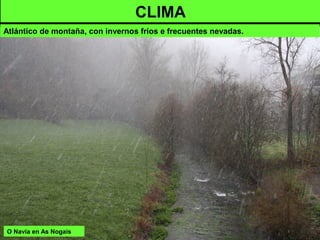 O Navia en As Nogais
CLIMA
Atlántico de montaña, con invernos fríos e frecuentes nevadas.
 