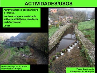 ACTIVIDADES/USOS
Aproveitamento agrogandeiro
e forestal.
Noutros tempo a madeira de
aciñeira utilizábase para facer
carbón vexetal.
Lecer
Paseo fluvial no río
Valdeparada en As Nogais
Muíño da Veiga no río Navia
en Doncos (As Nogais)
 