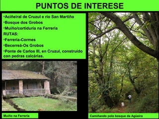 PUNTOS DE INTERESE
•Aciñeiral de Cruzul e río San Martiño
•Bosque dos Grobos
•Muíño/cortiduría na Ferrería
RUTAS:
•Ferrería-Cormes
•Becerreá-Os Grobos
•Ponte de Carlos III, en Cruzul, construído
con pedras calcárias.
Camiñando polo bosque da AgüeiraMuíño na Ferrería
 