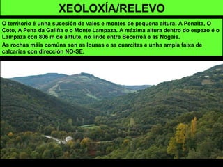 XEOLOXÍA/RELEVO
O territorio é unha sucesión de vales e montes de pequena altura: A Penalta, O
Coto, A Pena da Galiña e o Monte Lampaza. A máxima altura dentro do espazo é o
Lampaza con 806 m de alttute, no linde entre Becerreá e as Nogais.
As rochas máis comúns son as lousas e as cuarcitas e unha ampla faixa de
calcarías con dirección NO-SE.
 