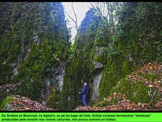 Os Grobos en Becerreá, na Agüeira, ao pé do lugar de Cela. Unhas curiosas formacións “kársticas”
producidas pola erosión nas rochas calcarias, moi pouco comúns en Galiza.
 