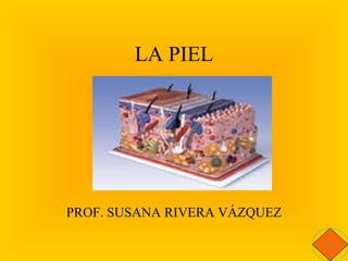 LA PIEL PROF. SUSANA RIVERA VÁZQUEZ 