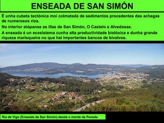 É unha cubeta tectónica moi colmatada de sedimentos procedentes das achegas
de numerosos ríos.
No interior atópanse as illas de San Simón, O Castelo e Alvedosas.
A enseada é un ecosistema cunha alta productividade biolóxica e dunha grande
riqueza marisqueira no que hai importantes bancos de bivalvos.
ENSEADA DE SAN SIMÓN
Ría de Vigo (Enseada de San Simón) desde o monte da Peneda
 